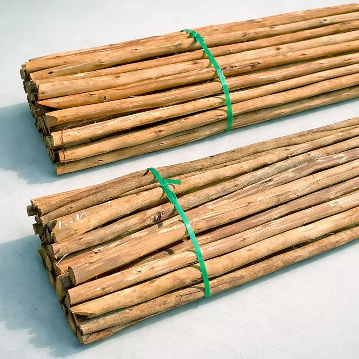 Biribas de 02 a 04 cm de Diâmetro