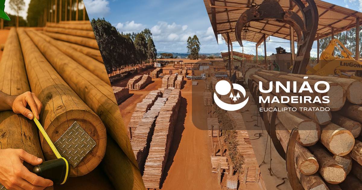 Eucalipto tratado em Rio Branco – Acre