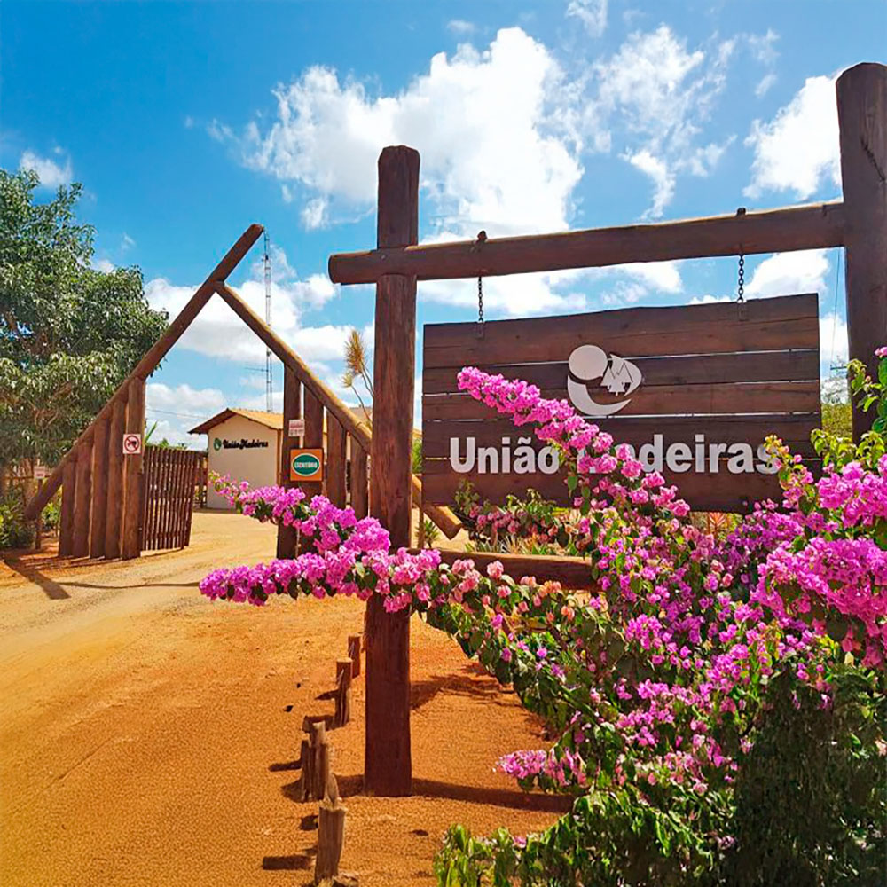 IMPORTÂNCIA DO TRATAMENTO DA MADEIRA | Blog União Madeiras