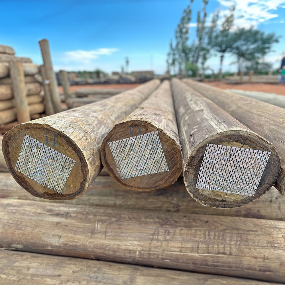 DUVIDAS SOBRE A DURABILIDADE DO EUCALIPTO TRATADO