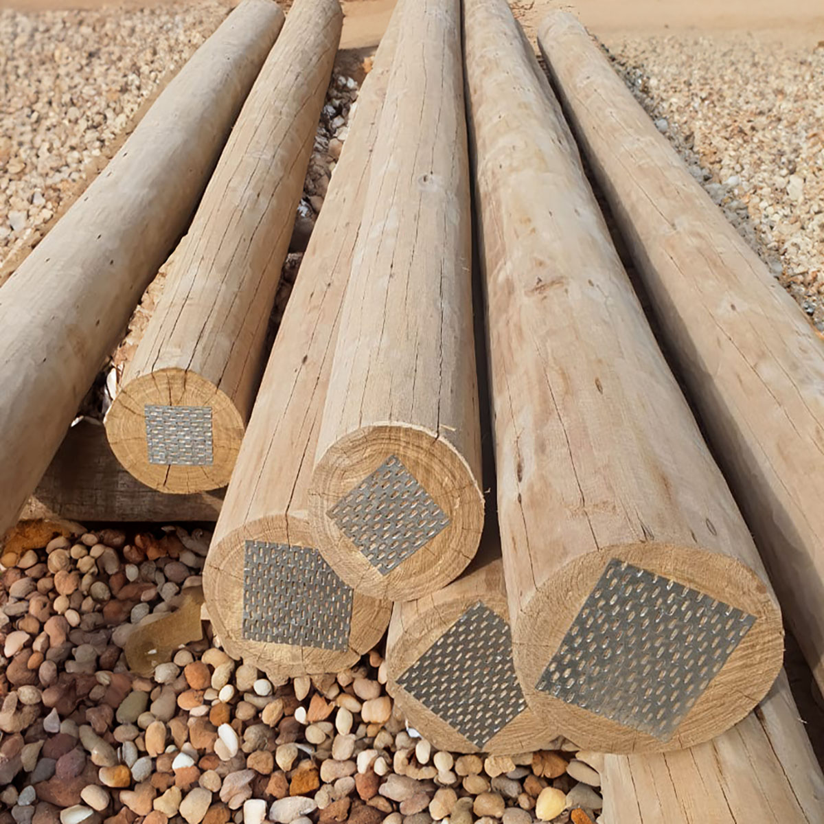 Eucalipto Lixado e Tratado