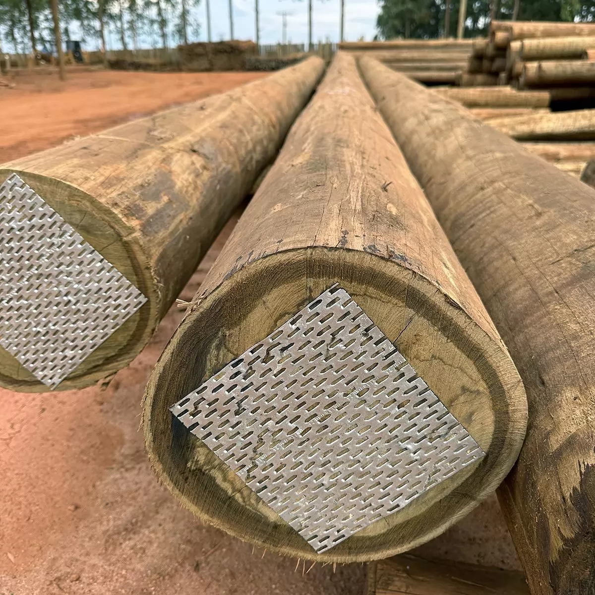 Qual Durabilidade do Eucalipto Tratado? | Blog União Madeiras