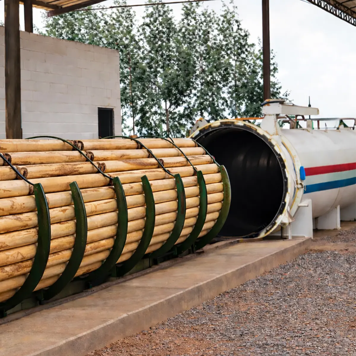 Como o Eucalipto é Tratado